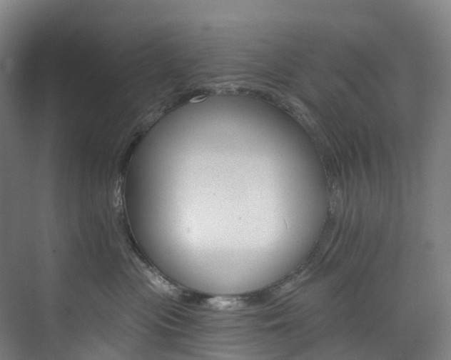 X0000073850477200608171037