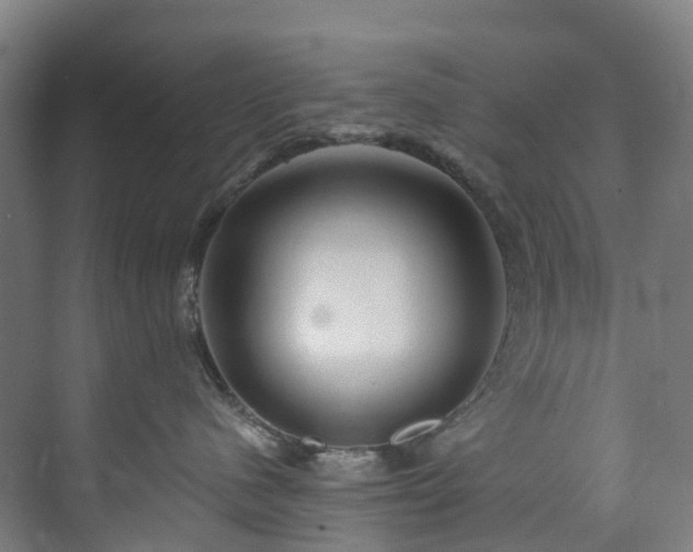 X0000073850480200608171037