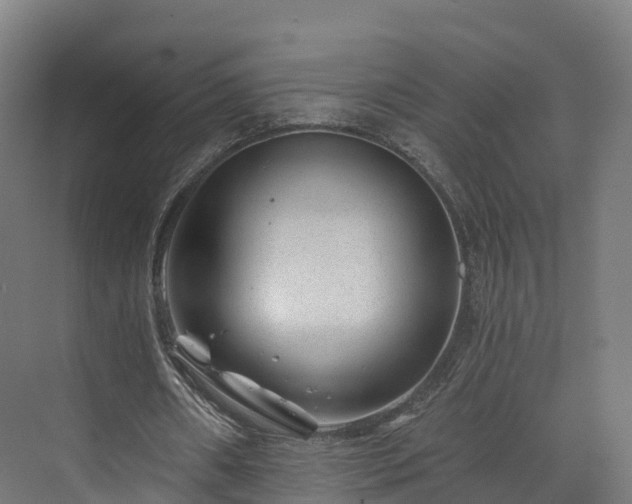 X0000073850482200608171037