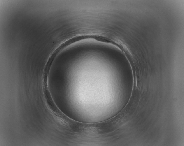 X0000073850483200608171037