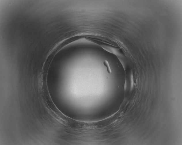 X0000073850484200608171037