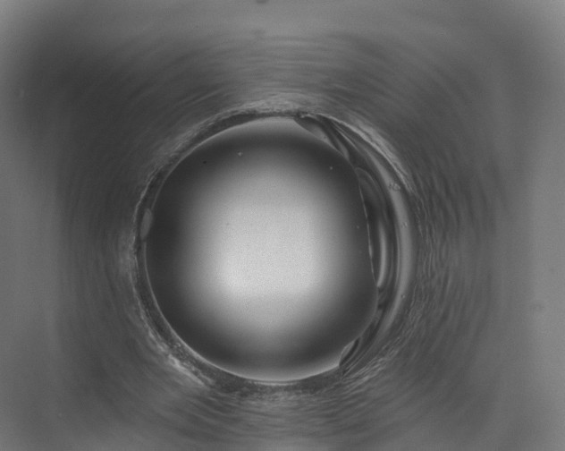 X0000073850485200608171037