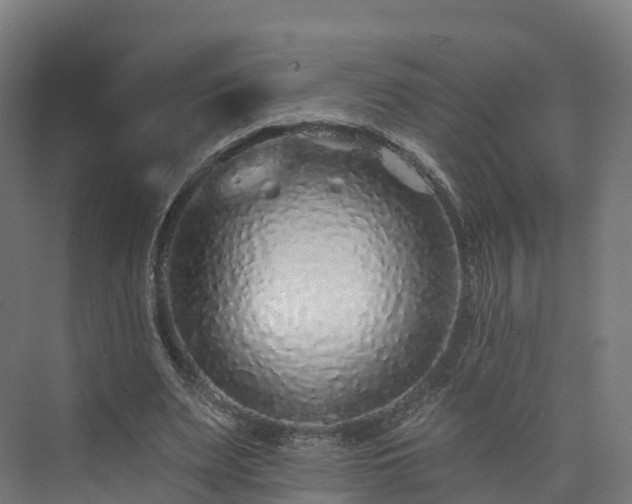 X0000073850487200608171036