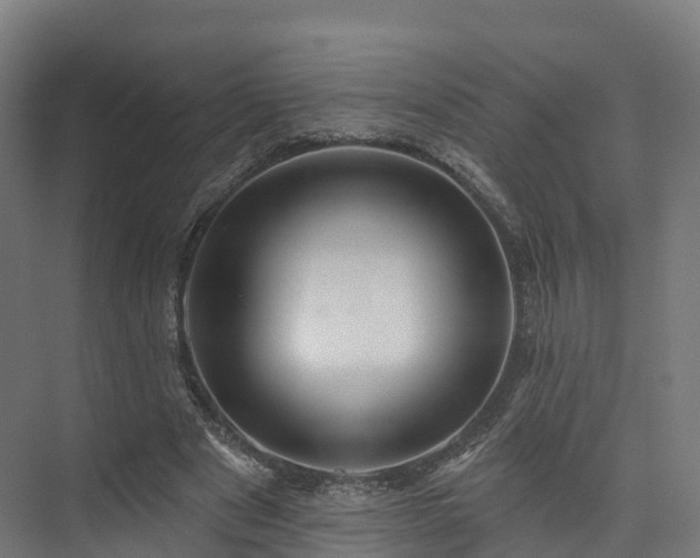 X0000073850489200608171036