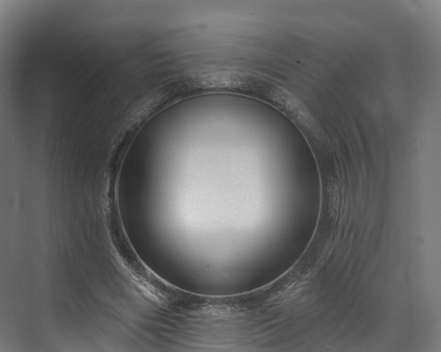 X0000073850490200608171036