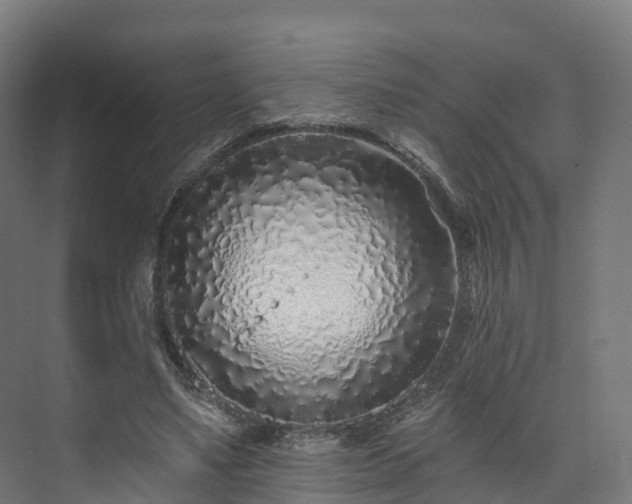 X0000073850491200608171036