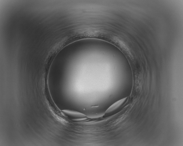 X0000073850493200608171036