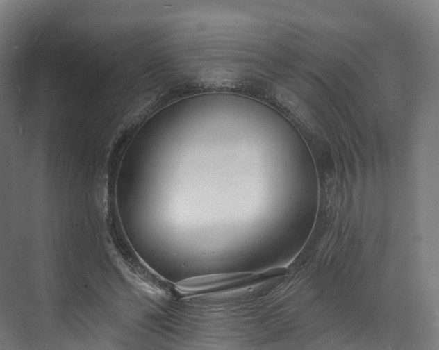 X0000073850494200608171036