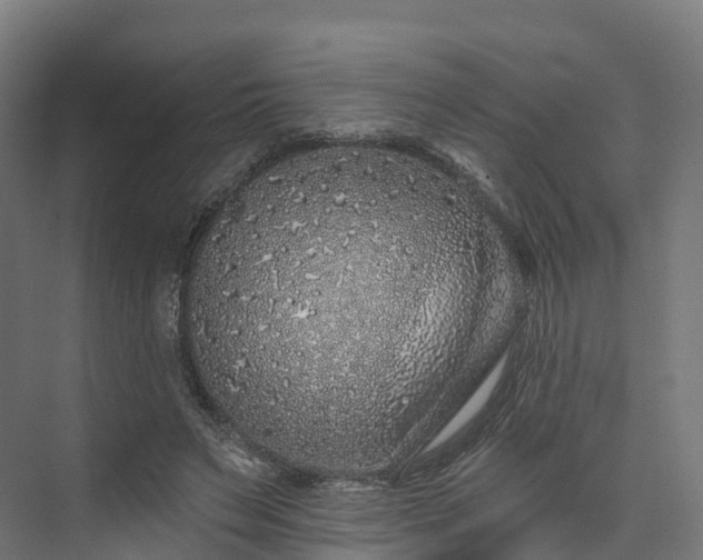 X0000073850495200608171036