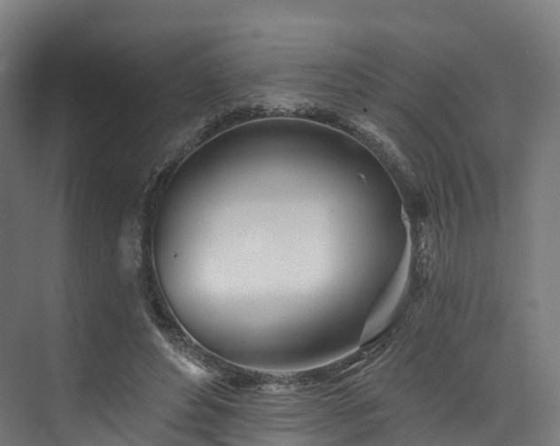 X0000073850496200608171036