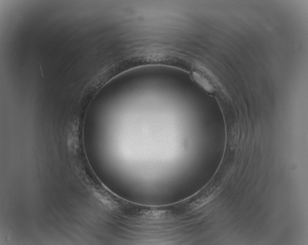 X0000073850497200608171036