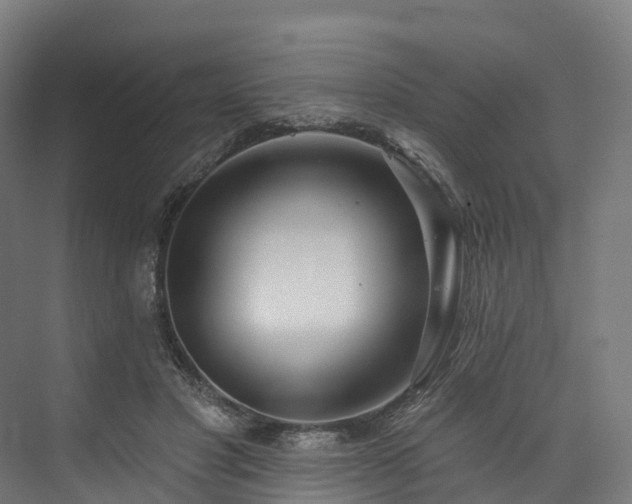 X0000073850501200608171036