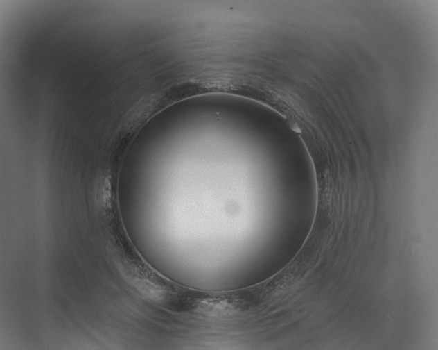 X0000073850502200608171036