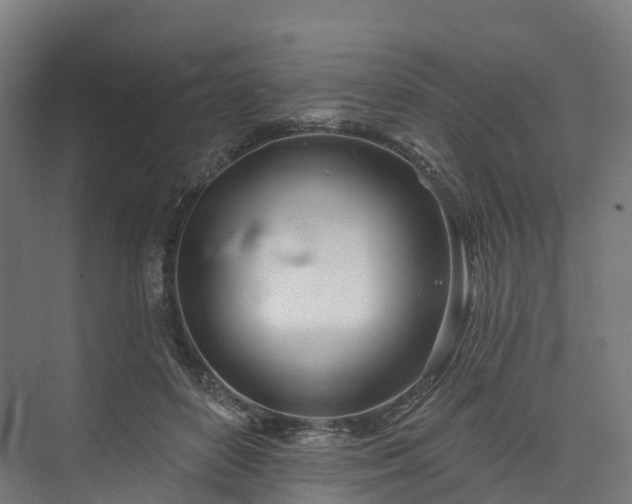 X0000073850504200608171036