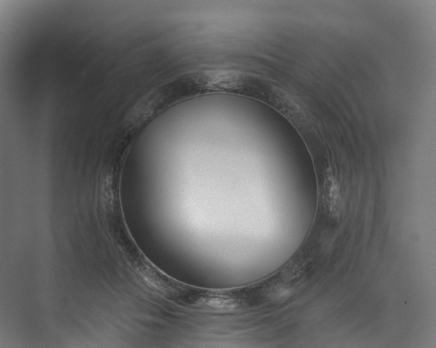 X0000073850506200608171036