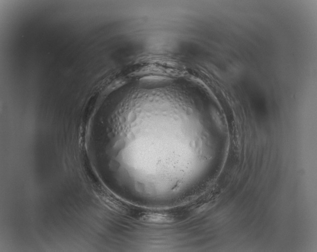 X0000073850507200608171036