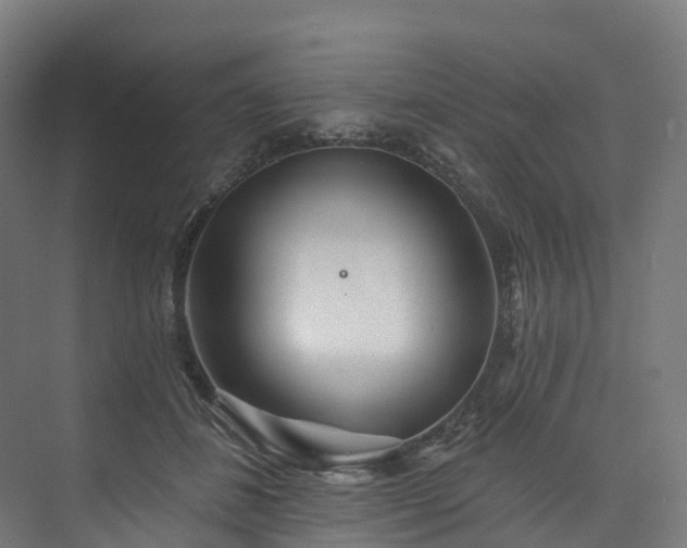 X0000073850508200608171036