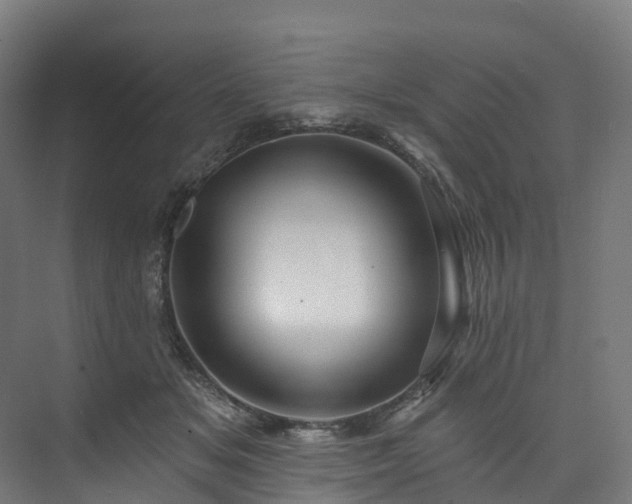 X0000073850509200608171036