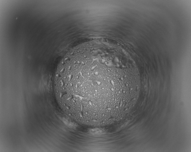 X0000073850511200608171036