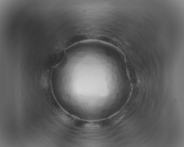 X0000073850515200608171036