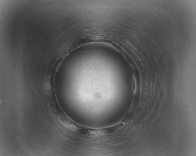 X0000073850516200608171036