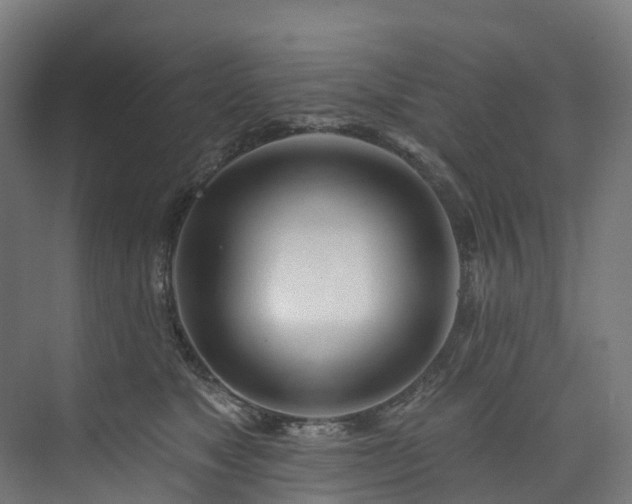 X0000073850517200608171036