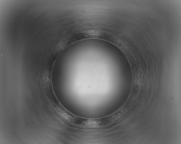 X0000073850518200608171036