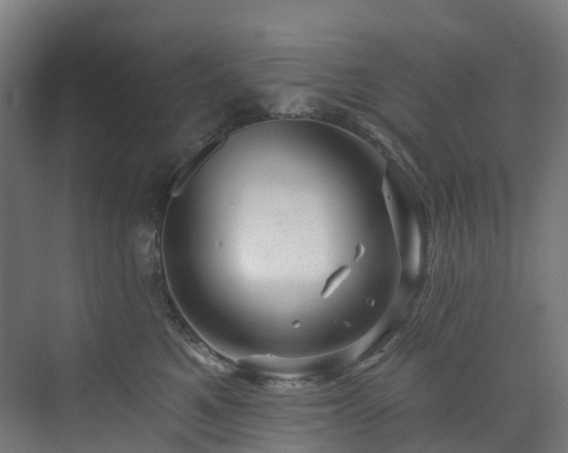 X0000073850521200608171036