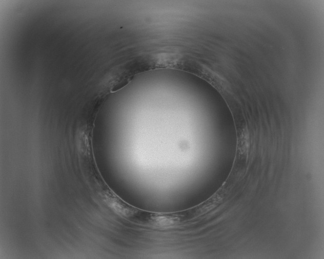 X0000073850522200608171036