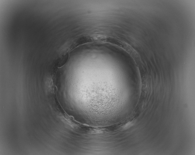 X0000073850523200608171036