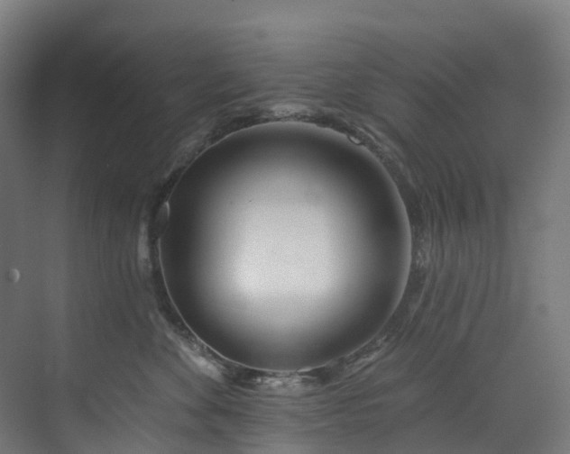 X0000073850524200608171036