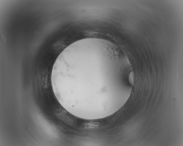 X0000073850525200608171036