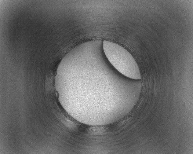 X0000073850526200608171036