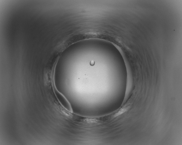 X0000073850528200608171036