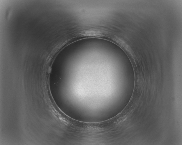 X0000073850529200608171035