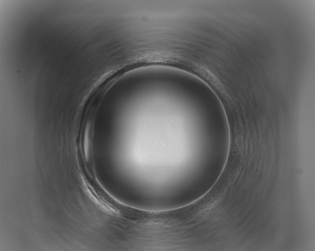 X0000073850530200608171035