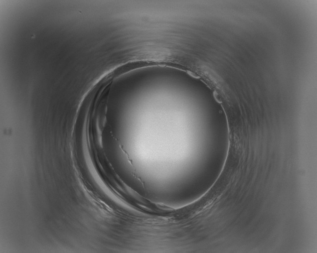 X0000073850532200608171035