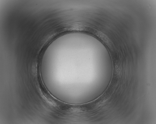 X0000073850534200608171035