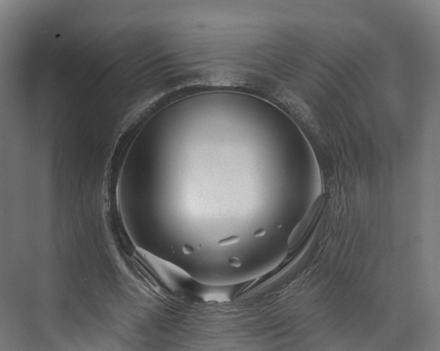 X0000073850536200608171035