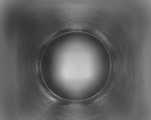 X0000073850537200608171035