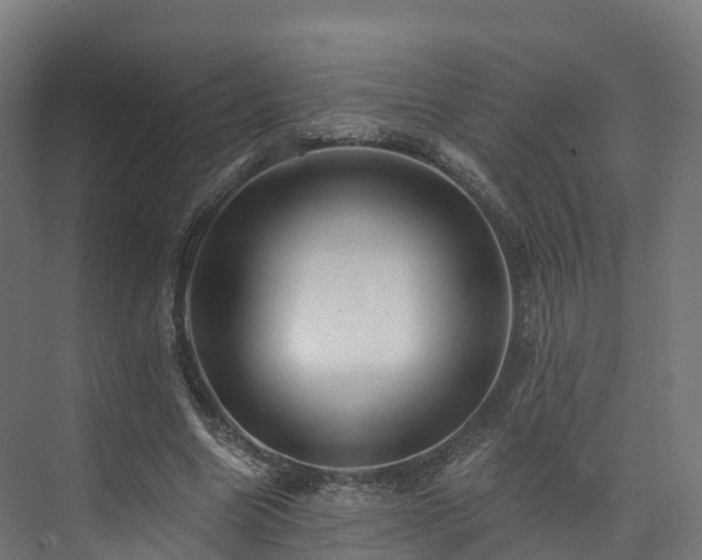 X0000073850538200608171035