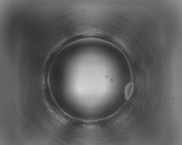 X0000073850539200608171035