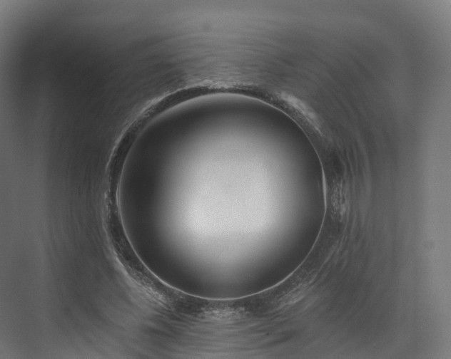 X0000073850540200608171035