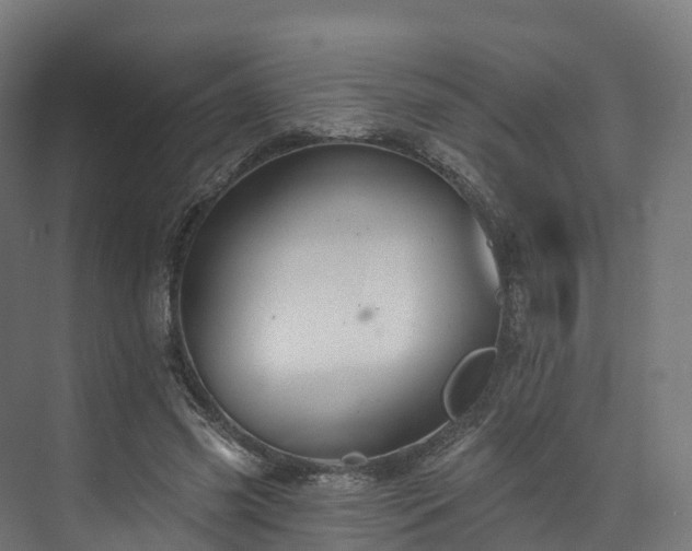 X0000073850541200608171035