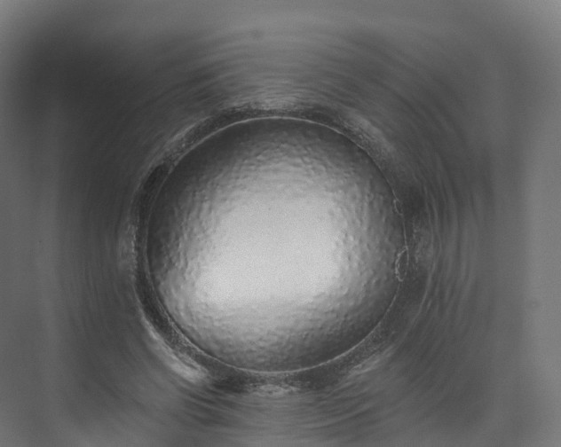 X0000073850542200608171035