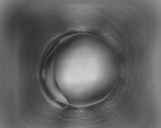 X0000073850544200608171035