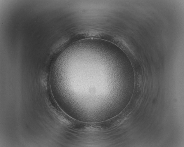 X0000073850545200608171035