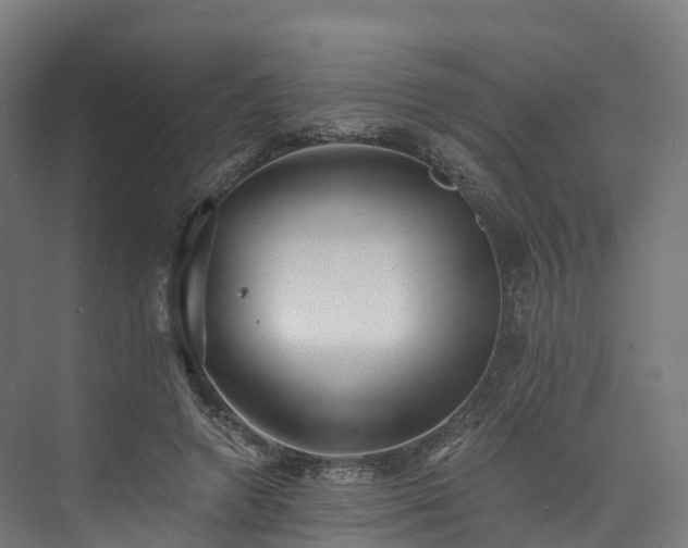 X0000073850546200608171035