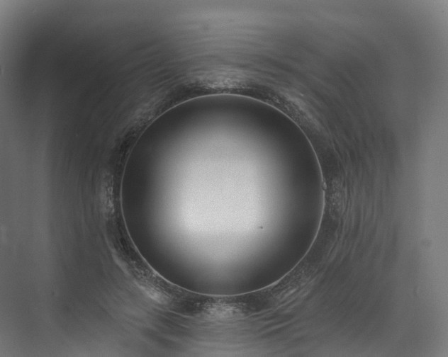 X0000073850547200608171035