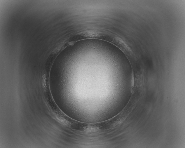 X0000073850549200608171035